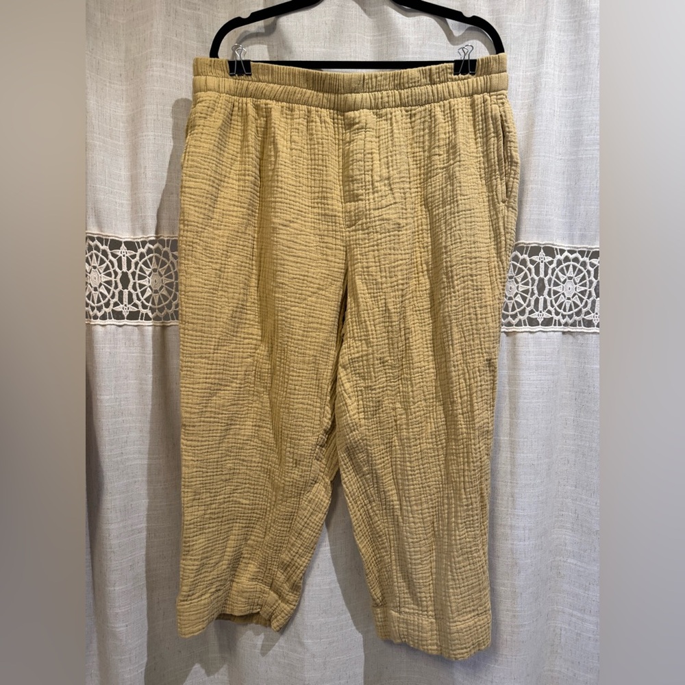 Madewell Knit Pants